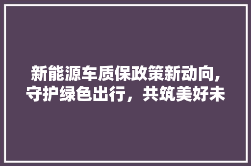 新能源车质保政策新动向,守护绿色出行，共筑美好未来