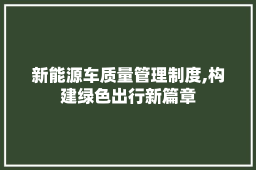 新能源车质量管理制度,构建绿色出行新篇章