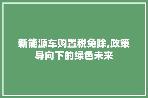 新能源车购置税免除,政策导向下的绿色未来