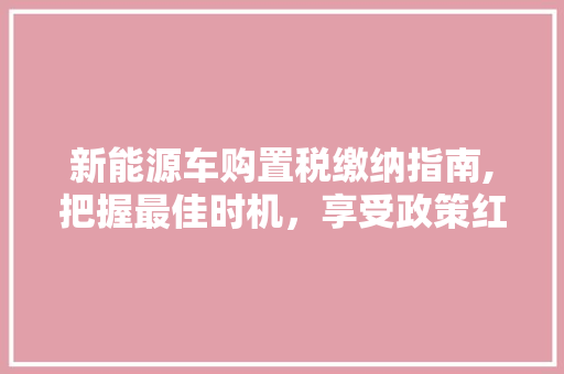 新能源车购置税缴纳指南,把握最佳时机，享受政策红利