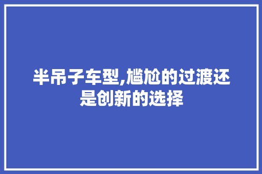 半吊子车型,尴尬的过渡还是创新的选择 新款车型