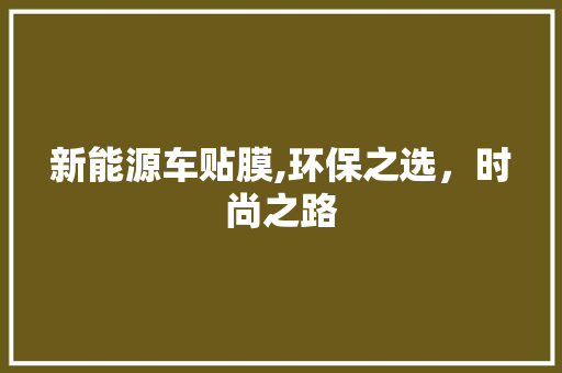 新能源车贴膜,环保之选，时尚之路