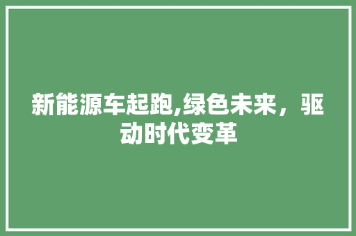 新能源车起跑,绿色未来，驱动时代变革
