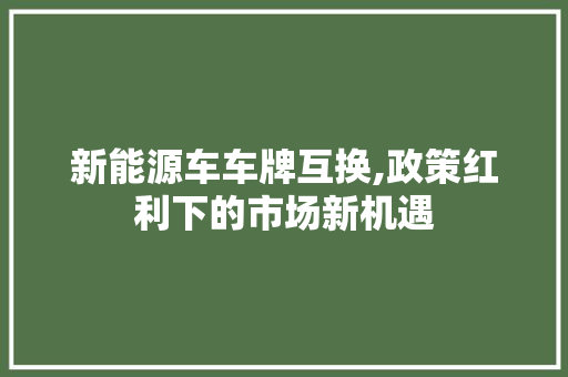 新能源车车牌互换,政策红利下的市场新机遇