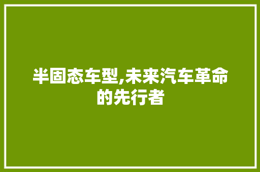 半固态车型,未来汽车革命的先行者