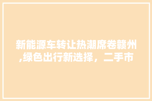 新能源车转让热潮席卷赣州,绿色出行新选择，二手市场潜力无限
