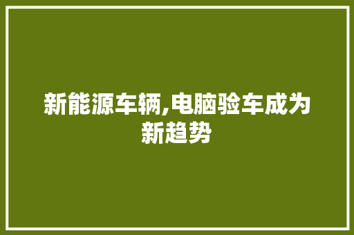 新能源车辆,电脑验车成为新趋势