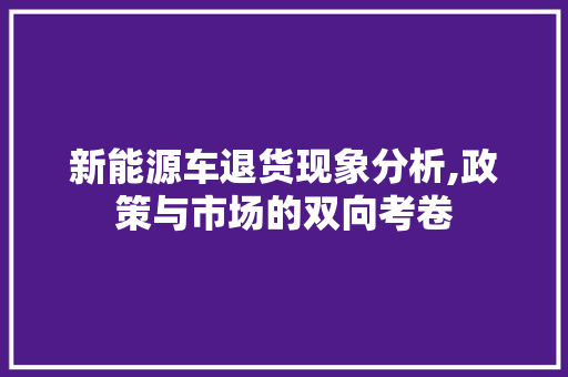 新能源车退货现象分析,政策与市场的双向考卷