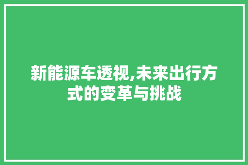 新能源车透视,未来出行方式的变革与挑战