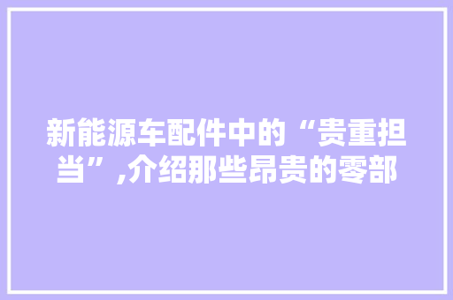 新能源车配件中的“贵重担当”,介绍那些昂贵的零部件