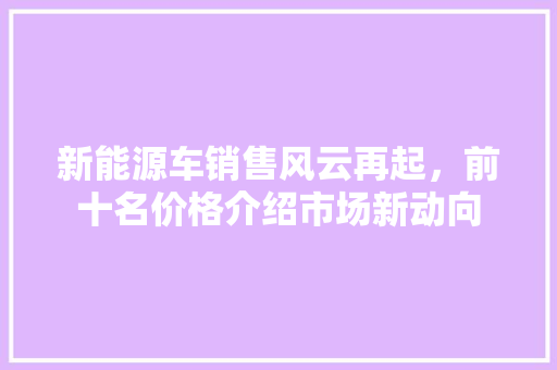 新能源车销售风云再起，前十名价格介绍市场新动向
