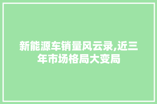 新能源车销量风云录,近三年市场格局大变局