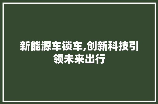 新能源车锁车,创新科技引领未来出行