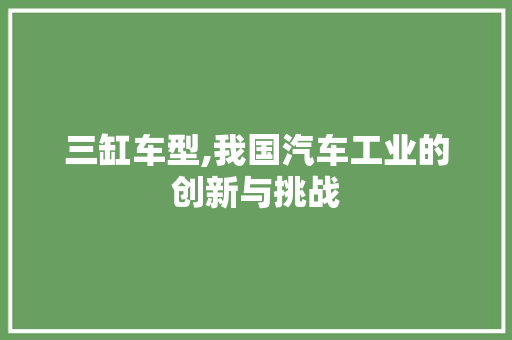 三缸车型,我国汽车工业的创新与挑战
