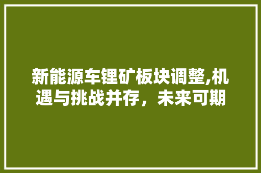 新能源车锂矿板块调整,机遇与挑战并存，未来可期