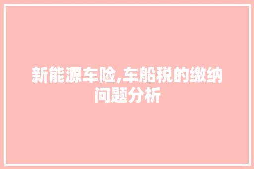 新能源车险,车船税的缴纳问题分析