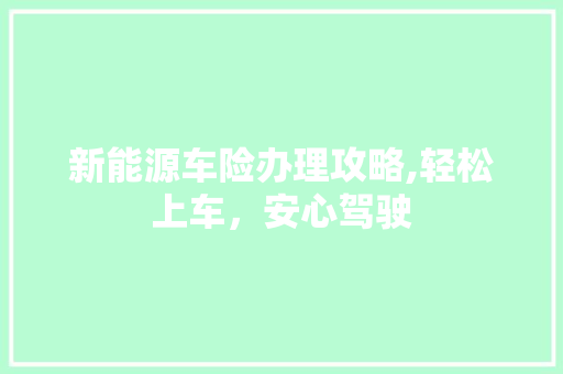 新能源车险办理攻略,轻松上车，安心驾驶