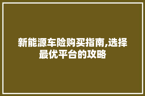 新能源车险购买指南,选择最优平台的攻略