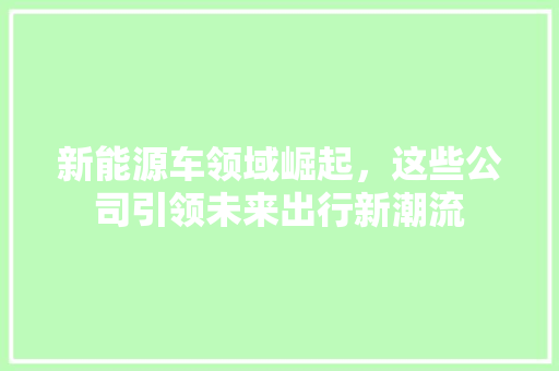 新能源车领域崛起，这些公司引领未来出行新潮流