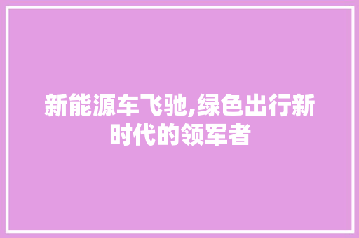 新能源车飞驰,绿色出行新时代的领军者