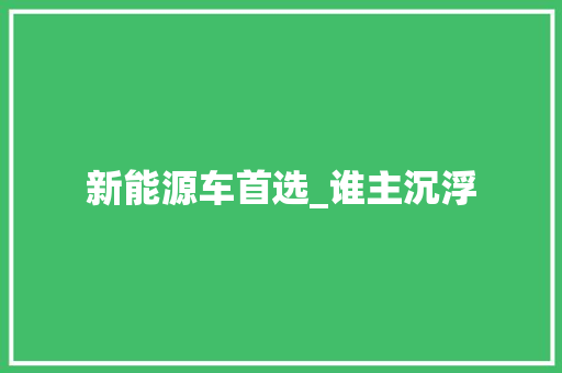 新能源车首选_谁主沉浮