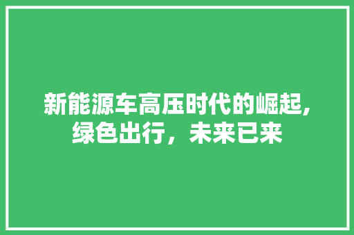 新能源车高压时代的崛起,绿色出行，未来已来