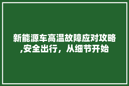 新能源车高温故障应对攻略,安全出行，从细节开始