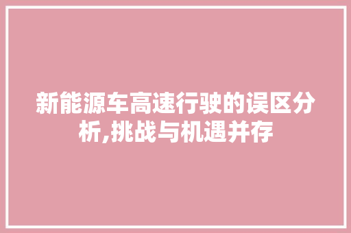 新能源车高速行驶的误区分析,挑战与机遇并存