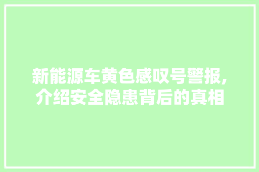 新能源车黄色感叹号警报,介绍安全隐患背后的真相
