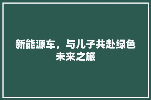 新能源车，与儿子共赴绿色未来之旅