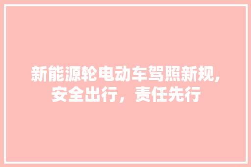 新能源轮电动车驾照新规,安全出行，责任先行