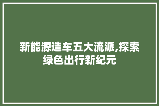 新能源造车五大流派,探索绿色出行新纪元