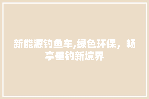 新能源钓鱼车,绿色环保，畅享垂钓新境界
