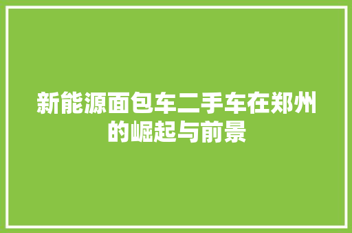 新能源面包车二手车在郑州的崛起与前景