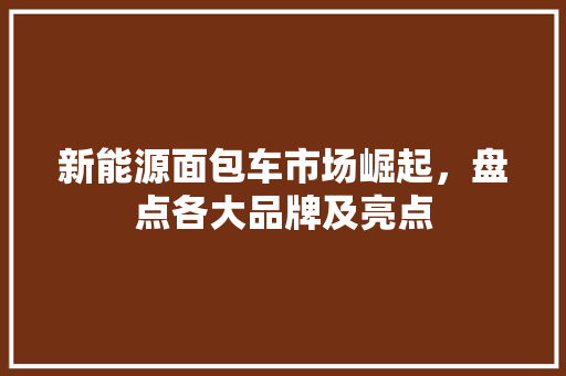 新能源面包车市场崛起，盘点各大品牌及亮点