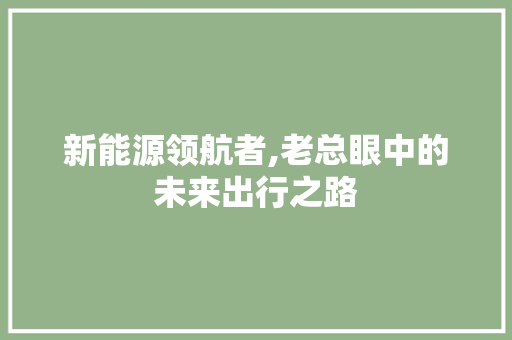 新能源领航者,老总眼中的未来出行之路