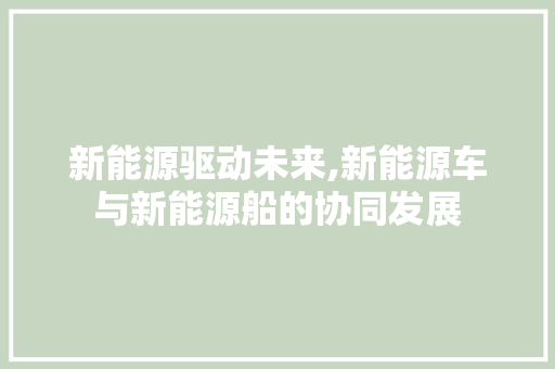 新能源驱动未来,新能源车与新能源船的协同发展