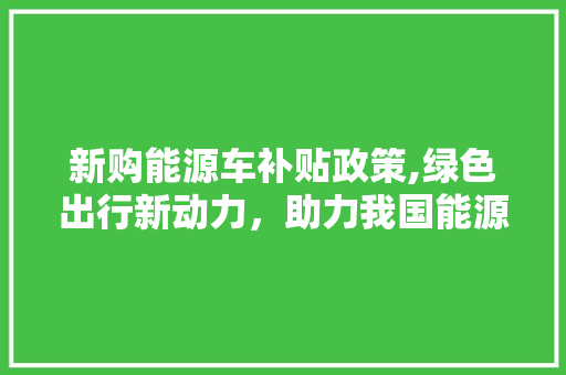 新购能源车补贴政策,绿色出行新动力，助力我国能源转型