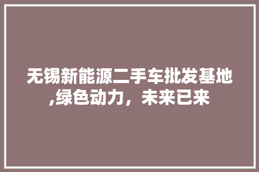 无锡新能源二手车批发基地,绿色动力，未来已来