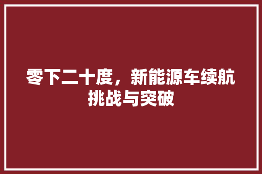 零下二十度，新能源车续航挑战与突破