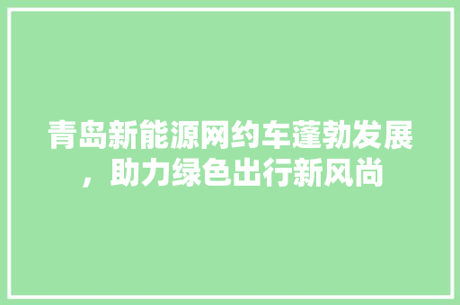 青岛新能源网约车蓬勃发展，助力绿色出行新风尚