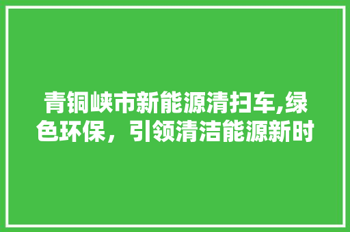 青铜峡市新能源清扫车,绿色环保，引领清洁能源新时代