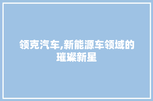 领克汽车,新能源车领域的璀璨新星