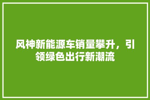 风神新能源车销量攀升，引领绿色出行新潮流
