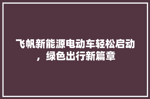 飞帆新能源电动车轻松启动，绿色出行新篇章