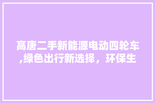 高唐二手新能源电动四轮车,绿色出行新选择，环保生活新风尚