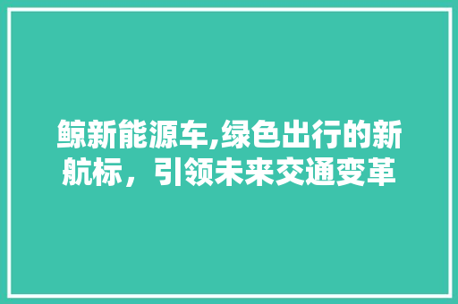 鲸新能源车,绿色出行的新航标，引领未来交通变革 新款车型