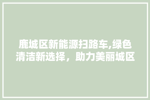 鹿城区新能源扫路车,绿色清洁新选择，助力美丽城区建设
