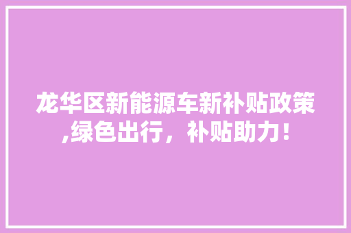 龙华区新能源车新补贴政策,绿色出行，补贴助力！