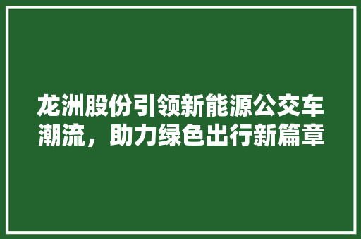龙洲股份引领新能源公交车潮流，助力绿色出行新篇章
